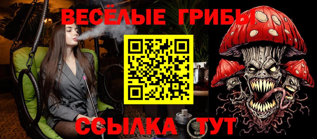 Псилоцибиновые грибы Psilocybine cubensis  Вход с VPN  Советская Гавань 